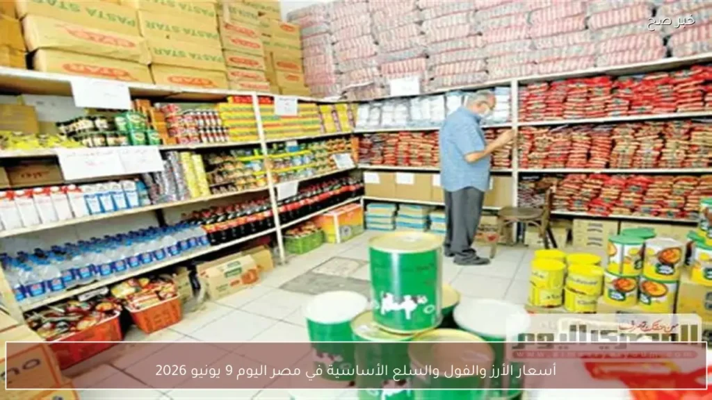 أسعار الأرز والفول والسلع الأساسية في مصر اليوم 9 يونيو 2026