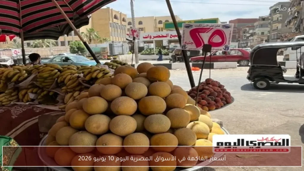 أسعار الفاكهة في الأسواق المصرية اليوم 10 يونيو 2026