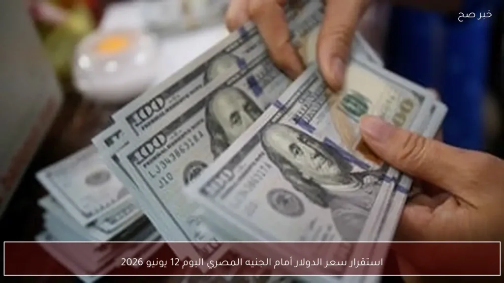 استقرار سعر الدولار أمام الجنيه المصري اليوم 12 يونيو 2026