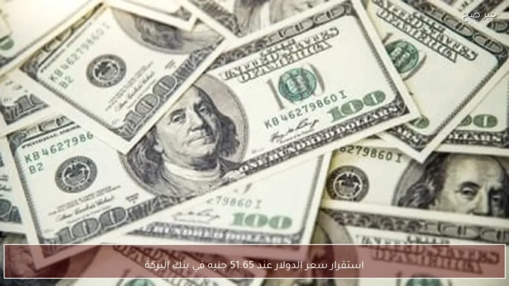 استقرار سعر الدولار عند 51.65 جنيه في بنك البركة