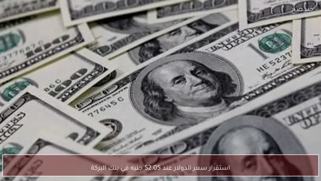 استقرار سعر الدولار عند 52.05 جنيه في بنك البركة