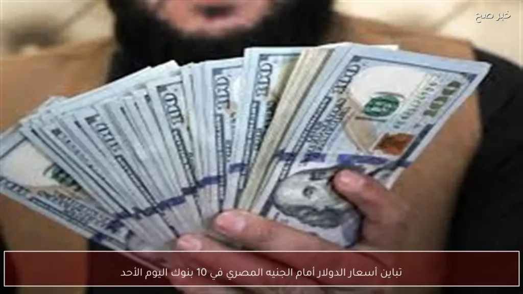 تباين أسعار الدولار أمام الجنيه المصري في 10 بنوك اليوم الأحد