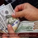 أسعار الدولار مقابل الجنيه في البنوك المصرية اليوم الإثنين