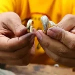 تراجع أسعار الذهب عيار 21 لأدنى مستوى خلال شهرين ونصف