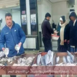 أسعار السمك البلطي والسردين في الأسواق اليوم