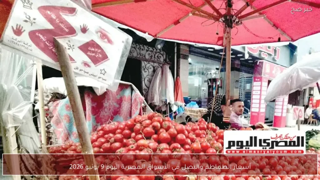 أسعار الطماطم والبصل في الأسواق المصرية اليوم 9 يونيو 2026