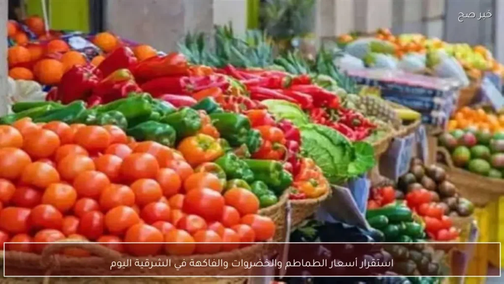 استقرار أسعار الطماطم والخضروات والفاكهة في الشرقية اليوم