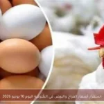 استقرار أسعار الفراخ والبيض في الشرقية اليوم 10 يونيو 2026