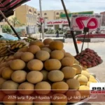 أسعار الفاكهة في الأسواق المصرية اليوم 8 يونيو 2026