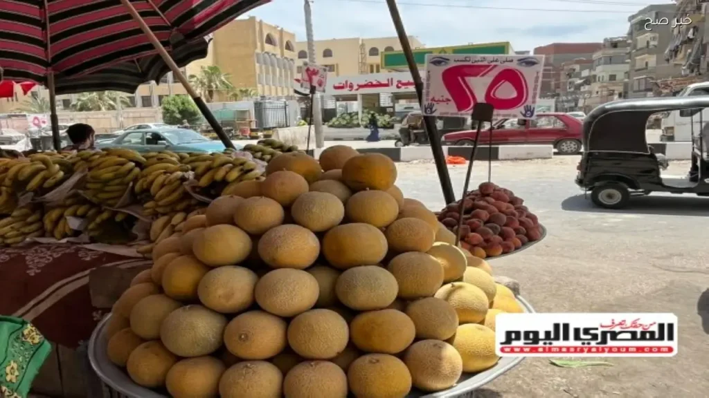أسعار الفاكهة في الأسواق المصرية اليوم 6 يونيو 2026