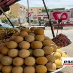 أسعار الفاكهة في الأسواق المصرية اليوم 6 يونيو 2026