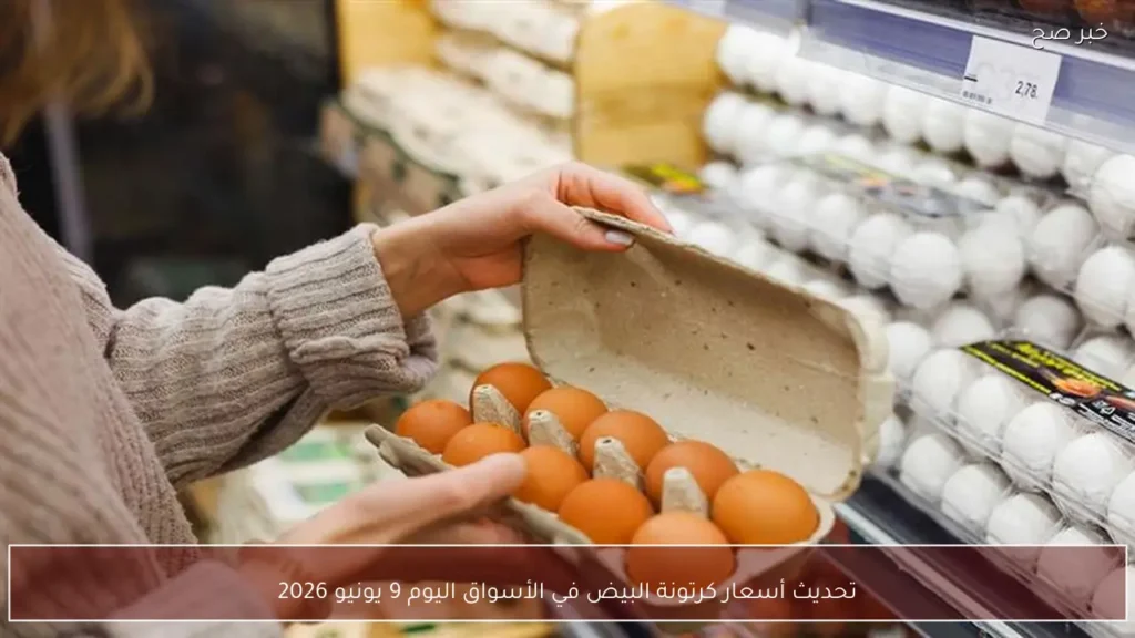 تحديث أسعار كرتونة البيض في الأسواق اليوم 9 يونيو 2026