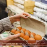 تحديث أسعار كرتونة البيض في الأسواق اليوم 9 يونيو 2026