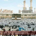 شركات السياحة تراجع ملاحظات الحج 2026 لتطوير الخدمات
