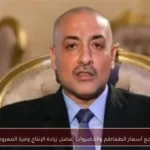 تراجع أسعار الطماطم والخضروات بفضل زيادة الإنتاج وفرة المعروض