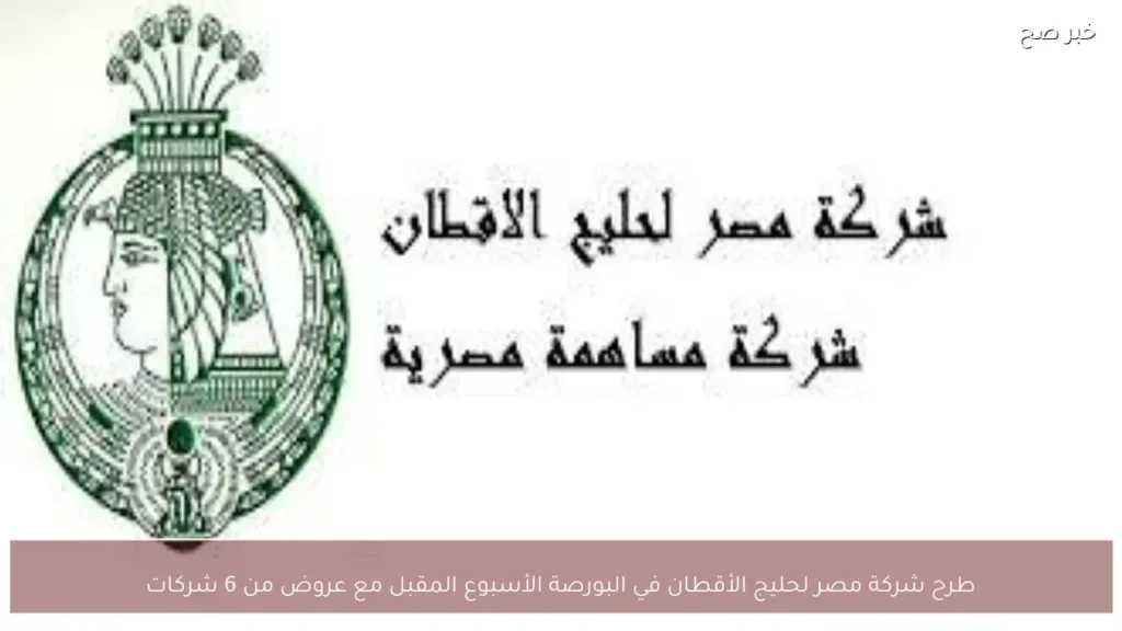 طرح شركة مصر لحليج الأقطان في البورصة الأسبوع المقبل مع عروض من 6 شركات