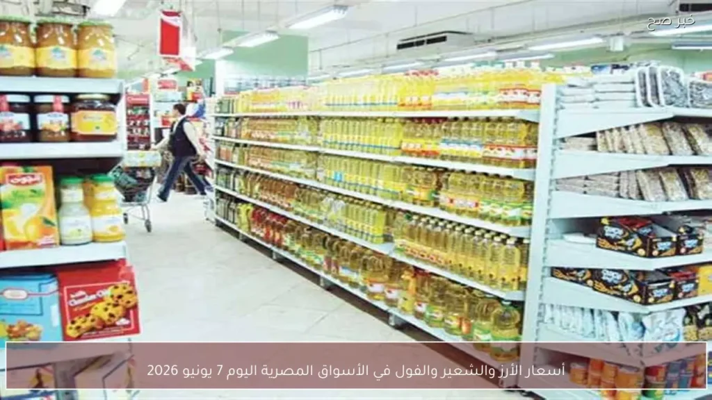 أسعار الأرز والشعير والفول في الأسواق المصرية اليوم 7 يونيو 2026
