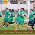 الاتحاد السكندري يبحث عن مدرب جديد محلي أو أجنبي