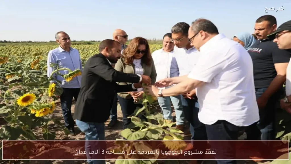 تفقد مشروع الجوجوبا بالغردقة على مساحة 3 آلاف فدان