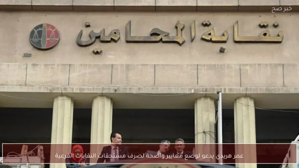 عمر هريدي يدعو لوضع معايير واضحة لصرف مستحقات النقابات الفرعية