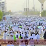 غرفة شركات السياحة تثني على نجاح برامج الحج البري والاقتصادي