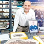 اكتشاف 20 نوعاً جديداً من الأسماك في الصحراء الشرقية بمصر