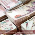 موعد تطبيق الزيادة الجديدة لأصحاب المعاشات بعد موافقة الرئيس