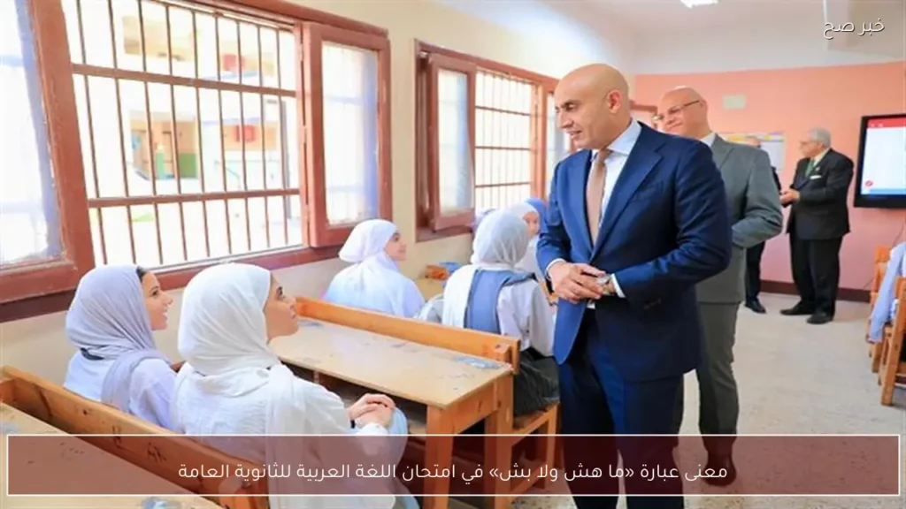معنى عبارة «ما هش ولا بش» في امتحان اللغة العربية للثانوية العامة