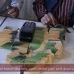 تفاصيل تطبيق الدعم النقدي لبطاقات التموين والمحفظة السلعية الموحدة
