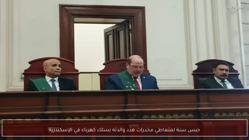 حبس سنة لمتعاطي مخدرات هدد والدته بسلك كهرباء في الإسكندرية