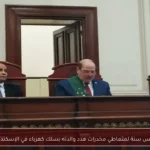 حبس سنة لمتعاطي مخدرات هدد والدته بسلك كهرباء في الإسكندرية