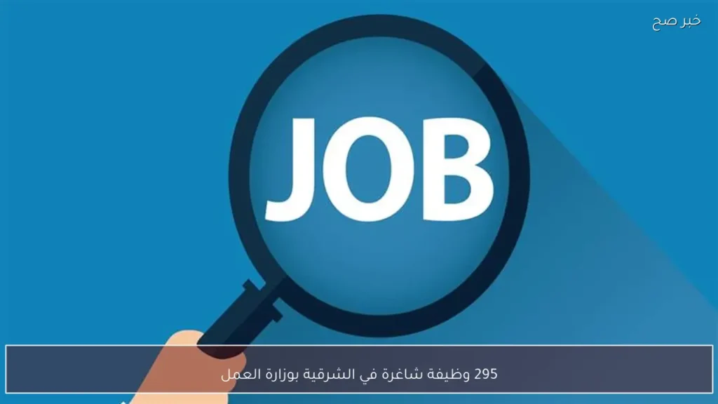 295 وظيفة شاغرة في الشرقية بوزارة العمل