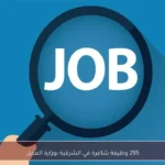295 وظيفة شاغرة في الشرقية بوزارة العمل