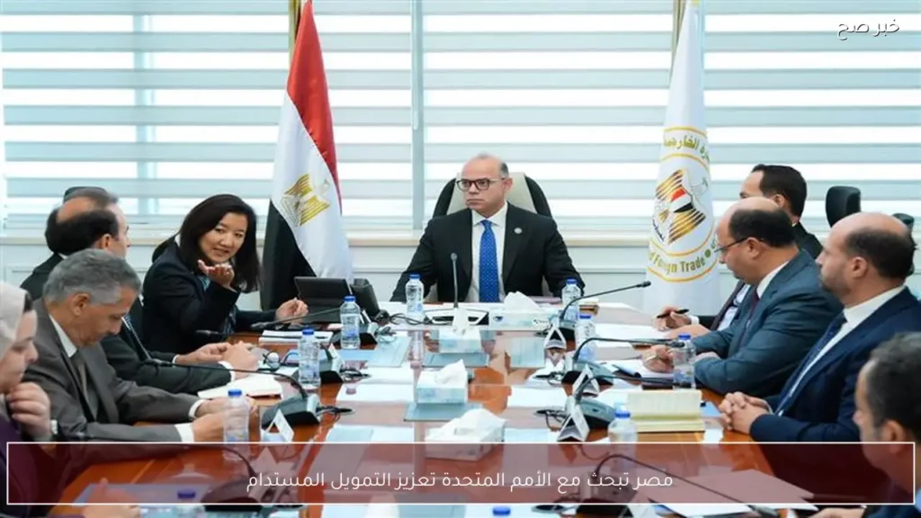 مصر تبحث مع الأمم المتحدة تعزيز التمويل المستدام