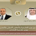 وزير الخارجية المصري والإماراتي يتباحثان هاتفياً حول التعاون الثنائي والتطورات الإقليمية