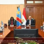 تشغيل 11 محطة مياه شرب جوفية في الكونغو بدعم مصري