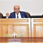 اجتماع لمكافحة مخاطر الطيور يعزز سلامة الطيران المدني في مصر