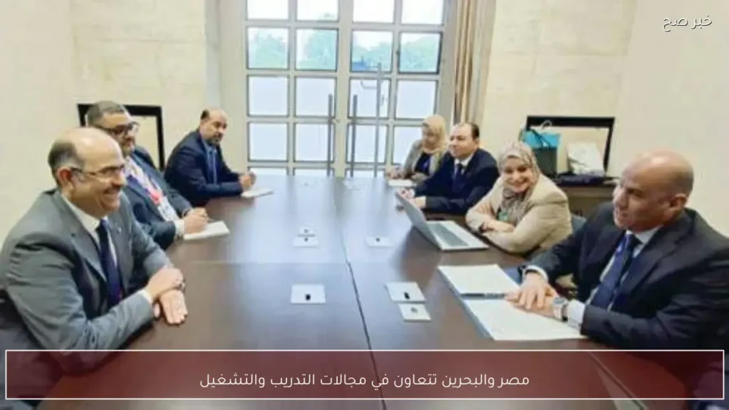 مصر والبحرين تتعاون في مجالات التدريب والتشغيل