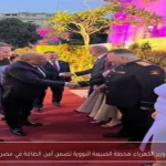 وزير الكهرباء: محطة الضبعة النووية تضمن أمن الطاقة في مصر