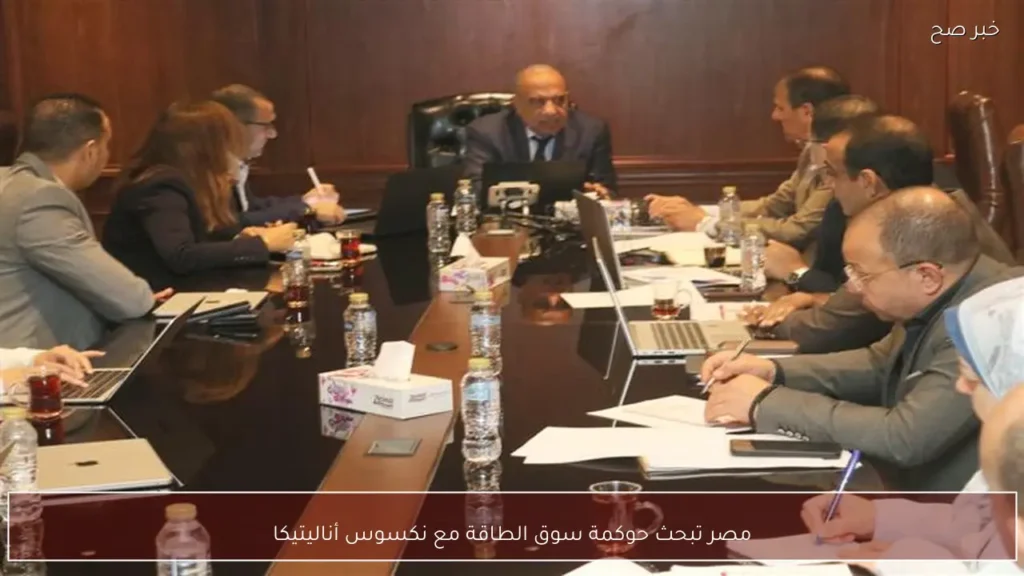 مصر تبحث حوكمة سوق الطاقة مع نكسوس أناليتيكا