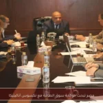 مصر تبحث حوكمة سوق الطاقة مع نكسوس أناليتيكا
