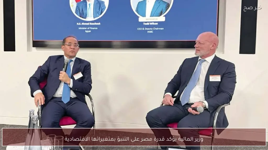 وزير المالية يؤكد قدرة مصر على التنبؤ بمتغيراتها الاقتصادية